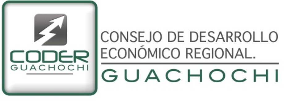 CODER GUACHOCHI